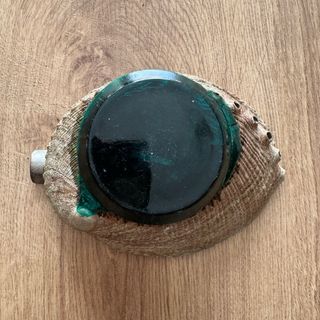 Concha de abulón cenicero