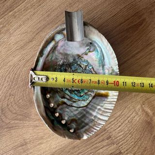 Concha de abulón cenicero