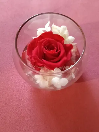 Rosa stabilizzata in vaso di vetro