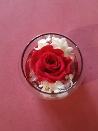 Rosa stabilizzata in vaso di vetro