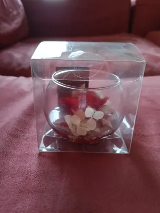 Rosa stabilizzata in vaso di vetro