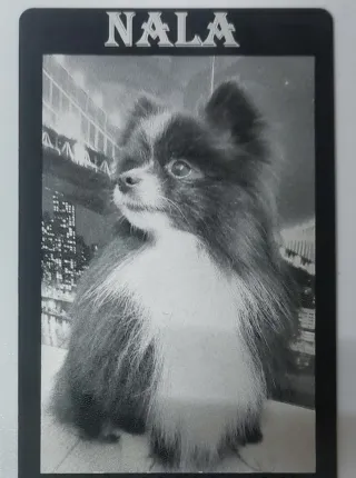 Regalitos personalizados