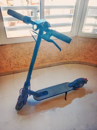 Monopatín Eléctrico Xiaomi Mi 1S