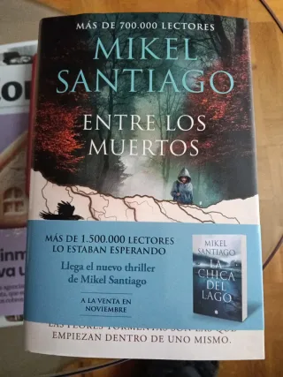 Novelas Mikel santiago