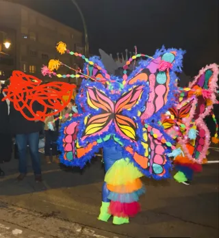 Disfraz Mariposa Adulto  talla única y Niños