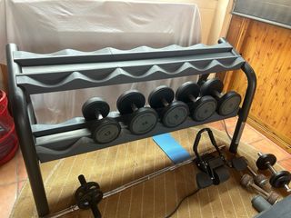 Mancuernero Technogym