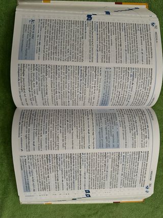 Lotto di 4 dizionari