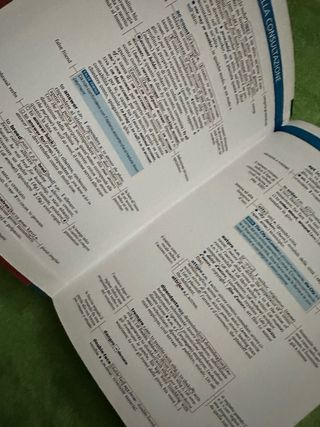 Lotto di 4 dizionari