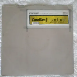 Lote 8 vinilos estilo House