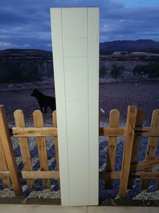 Puerta de armario o paso blanca