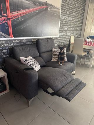 Sofá 2 plazas gris eléctrico