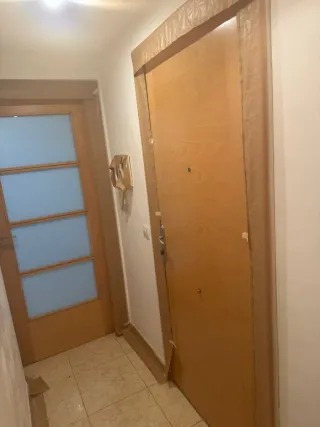 Pintor profesional económico