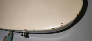 Fender Telecaster American Deluxe