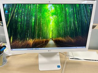 Ordenador LG Blanco Todo en Uno all in one