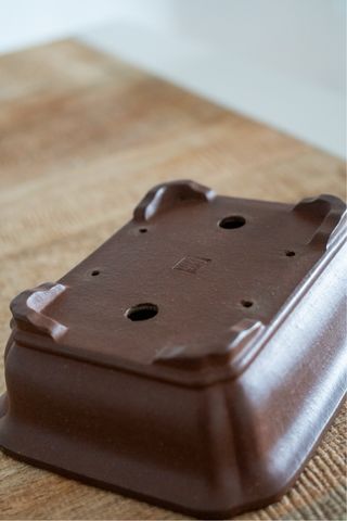 Maceta Bonsái Terracota Marrón Clásica