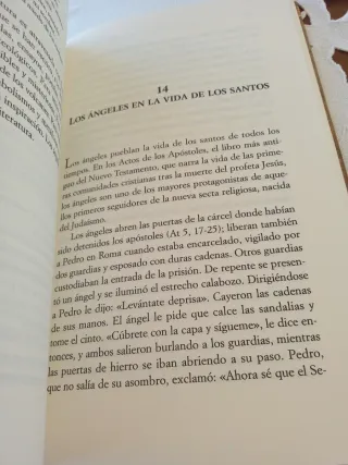 La seducción de los ángeles