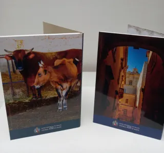 2 Monedas Malta 2025 Coincard