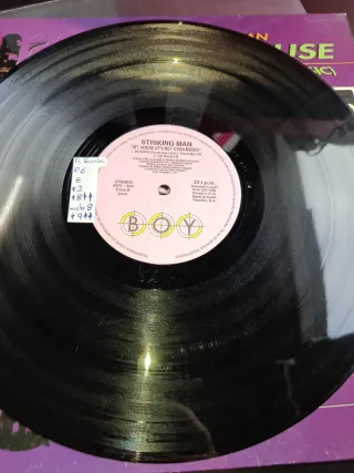 TEMAZO / Striking Man My House Vinilo