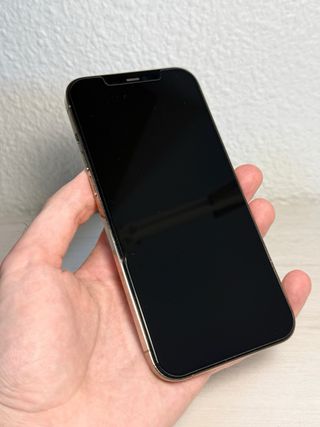 iPhone 12 Pro Max - 100% batería