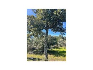 Solar en venta en Valencia de Alcántara