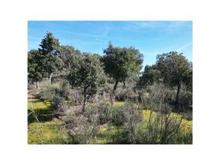 Solar en venta en Valencia de Alcántara