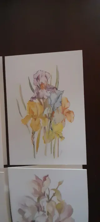 Conjunto 6 postais flores pintadas