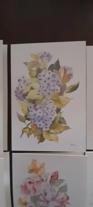 Conjunto 6 postais flores pintadas