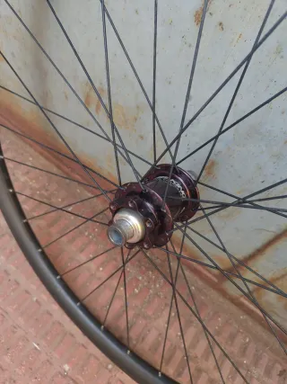 Ruedas Chris King Carbono MTB/Gravel