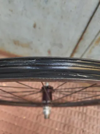 Ruedas Chris King Carbono MTB/Gravel