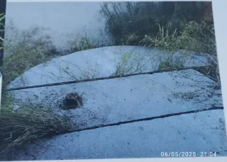 Piedra de molino de aceite antigua