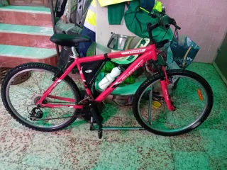 Bicicleta Runfit Aluminio