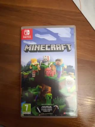 Minecraft Nintendo Switch