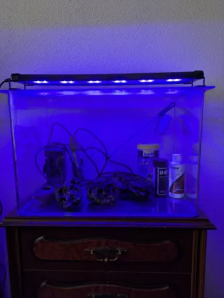 Acuario con mesa y accesorios