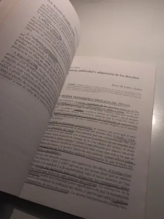 Lecciones de Derecho Civil