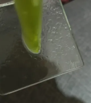 Scultura fiore blu in vetro di Maciej Habrat