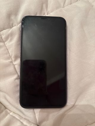 iPhone 11 Viola