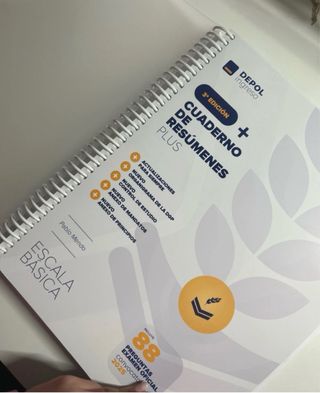 Libro de resúmenes de depol, PN escala básica