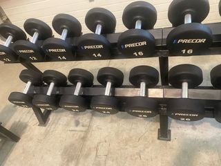 Mancuernas Precor (12-50kg)