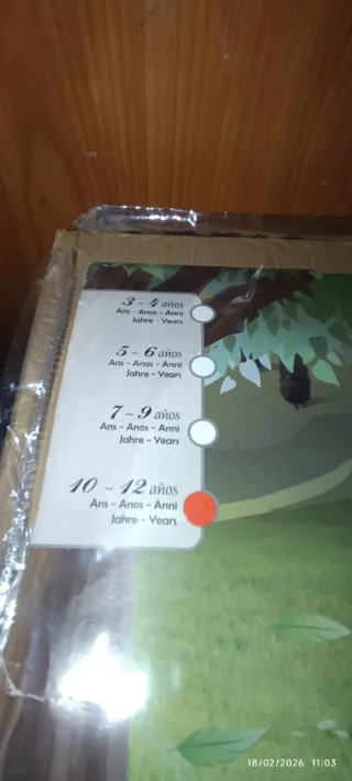 Disfraz Caperucita Roja