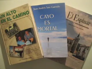 Libros sobre El Espinar de Segovia.