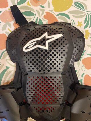 Protecciones Alpinestars Bionic Tech V3