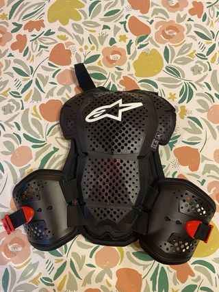 Protecciones Alpinestars Bionic Tech V3