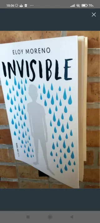 Libro invisible