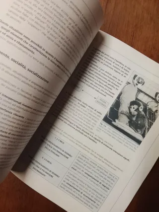 Bernardi & Condolf, Studiare psicologia 2