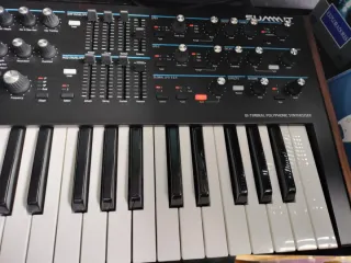 Cambio Novation Summit Sintetizador Polifónico