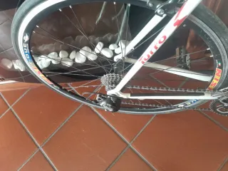 Bici da corsa Thunder