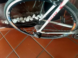 Bici da corsa Turbo modello Thunder