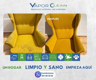 Limpieza profesional de Sofás a Domicilio !!