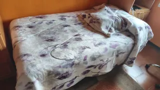 Somier, colchón y edredón 105x200cm