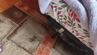 Somier, colchón y edredón 105x200cm